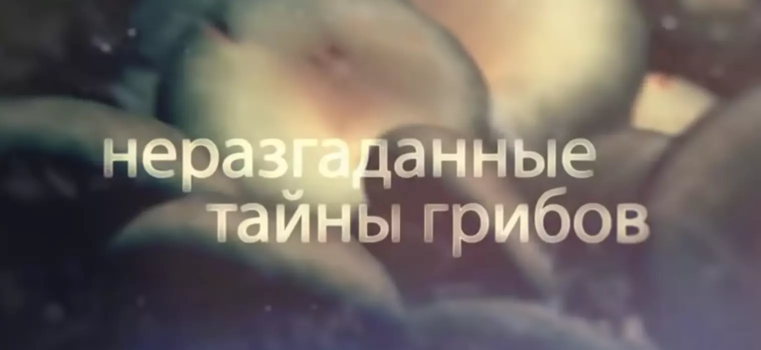Рассказ про клетку 5 класс биология